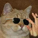 tom