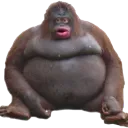 DoD_GorillaStinky DoD_GorillaStinky