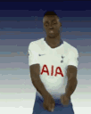 DancingTottenham Discord Emoji