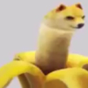 bananer_doge Discord emoji