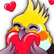 pataleaLove pataleaLove