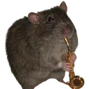 SaxyRat