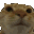 Catno catno Discord Emoji