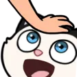 cohhPat