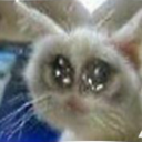 DoD_CattoSadDistorted Discord emoji