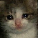 DoD_CattoSad Discord emoji