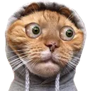 cathood Discord Emoji
