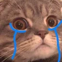 huhu huhu