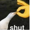 PG_Shut PG_Shut