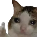 KittoCry Discord Emoji