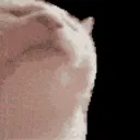 catJAM