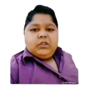 dilse