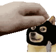 superfastburglardogepat Discord Emoji