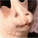 SAD