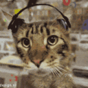 Cat Jammer catjammer Discord Emoji