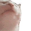 CT_CatVibeFast Discord emoji