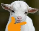 bobthinking