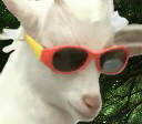 bobcool Discord emoji
