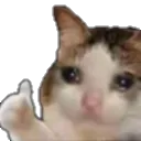 T_imOkay