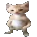 BigBwoy