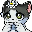 Shy Shy