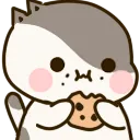 katercookies katercookies