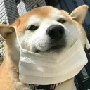 shibemoment shibemoment