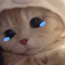 sadcat Discord Emoji