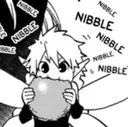Nibble