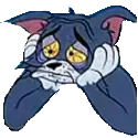 tomsad