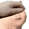 cottopet