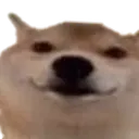 Doggy