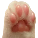 beans