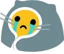 blanketcattears