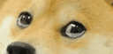 ISeeYou