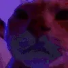 CatVibe