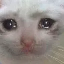 Crying Cat crying_cat Discord Emoji