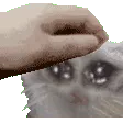 Patpat