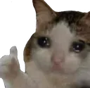 GoodJobCat
