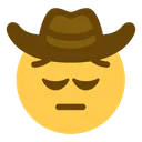 cowboypensive