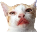 ch_lipstick1 Discord emoji