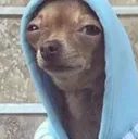 __