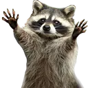raccoonEmbrace