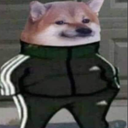 doogeWut Discord emoji