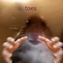 toes