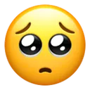 pleading