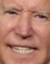 bidenmassive