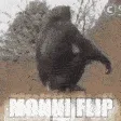 flip flip