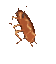 755633605832605778