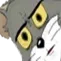 TomWTF